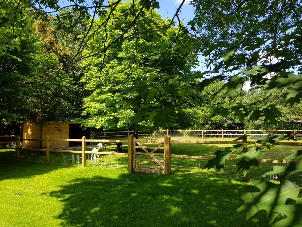 The Two Oaks - Private Garden For Guests Villa Hertsberge Buitenkant foto