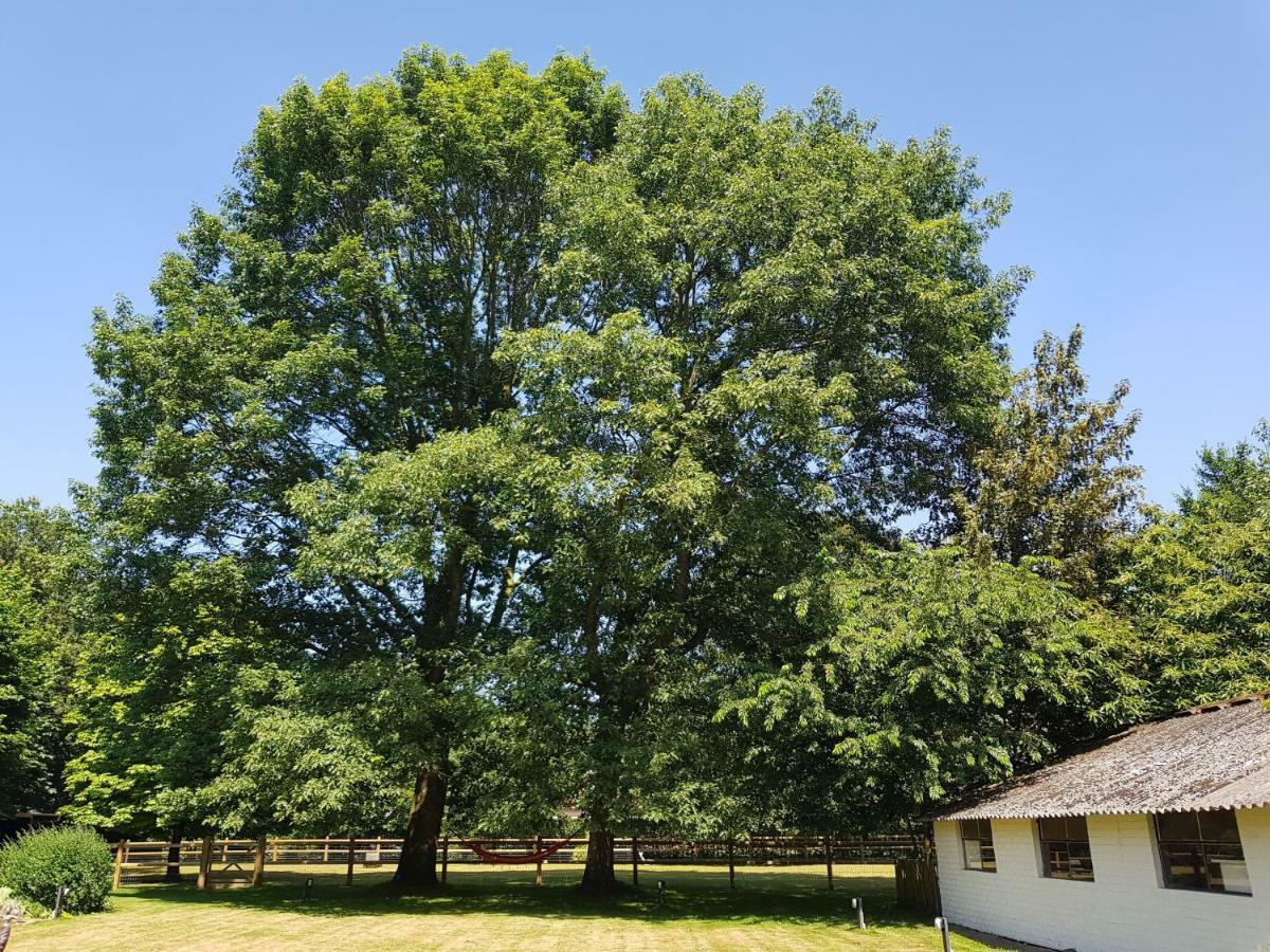 The Two Oaks - Private Garden For Guests Villa Hertsberge Buitenkant foto